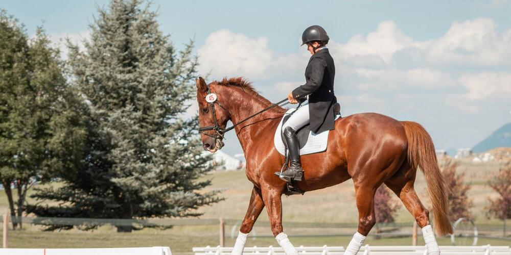 Sporer til ridetræningen – guide til brug, teknik og ansvarlig træning