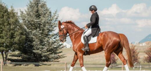 Sporer til ridetræningen – guide til brug, teknik og ansvarlig træning