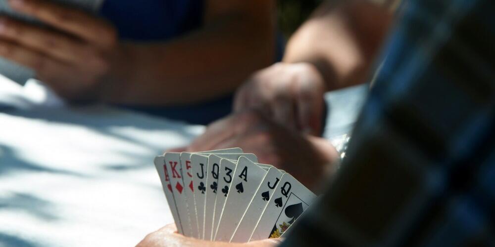 Piratbridge – Guide til det danske kortspil